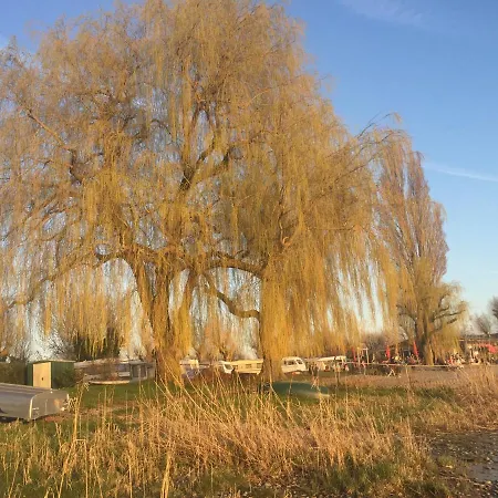 Daire Haus Muensterblick