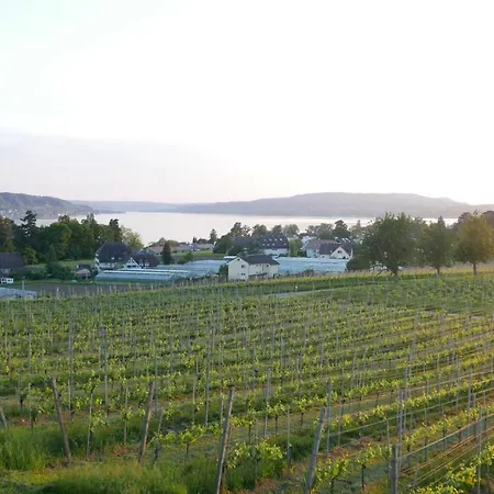 Haus Muensterblick Daire *